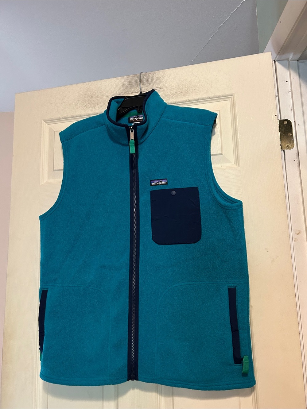 Patagonia Men's Teal Blue Karstens Synchilla Fleece Vest Size Large
